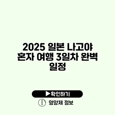 2025 일본 나고야 혼자 여행 3일차 완벽 일정