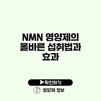 NMN 영양제의 올바른 섭취법과 효과