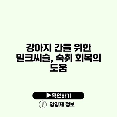 강아지 간을 위한 밀크씨슬, 숙취 회복의 도움