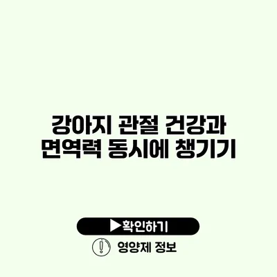 강아지 관절 건강과 면역력 동시에 챙기기