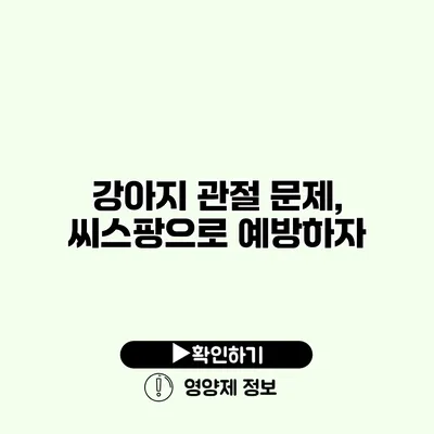 강아지 관절 문제, 씨스팡으로 예방하자