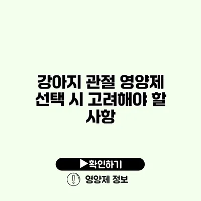 강아지 관절 영양제 선택 시 고려해야 할 사항