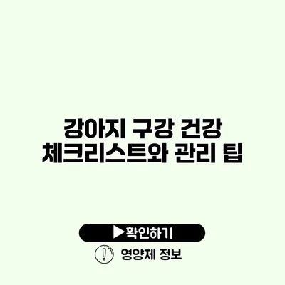 강아지 구강 건강 체크리스트와 관리 팁