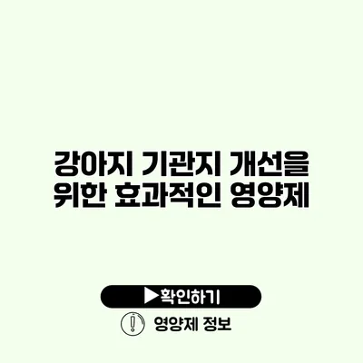 강아지 기관지 개선을 위한 효과적인 영양제