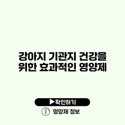 강아지 기관지 건강을 위한 효과적인 영양제