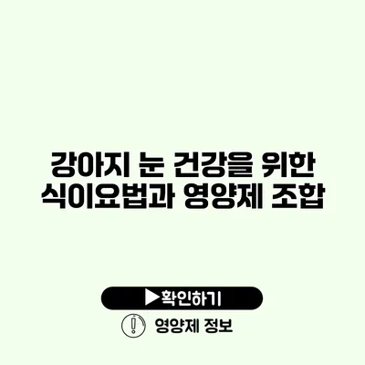 강아지 눈 건강을 위한 식이요법과 영양제 조합