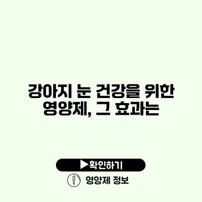 강아지 눈 건강을 위한 영양제, 그 효과는?