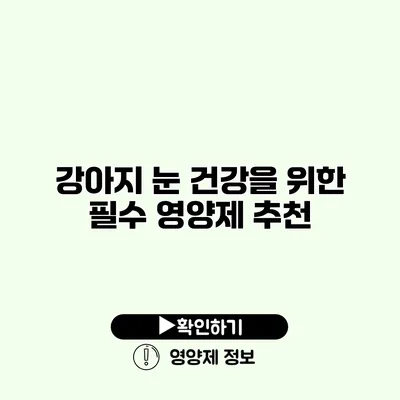 강아지 눈 건강을 위한 필수 영양제 추천