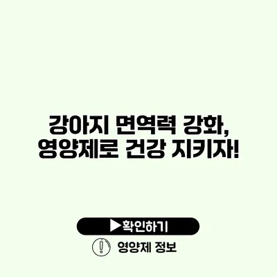 강아지 면역력 강화, 영양제로 건강 지키자!