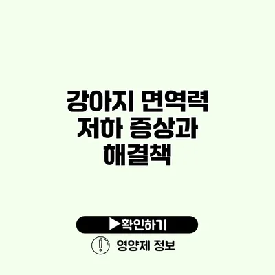 강아지 면역력 저하 증상과 해결책