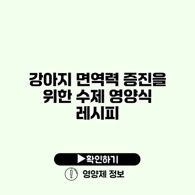 강아지 면역력 증진을 위한 수제 영양식 레시피