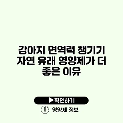 강아지 면역력 챙기기 자연 유래 영양제가 더 좋은 이유