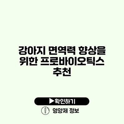 강아지 면역력 향상을 위한 프로바이오틱스 추천