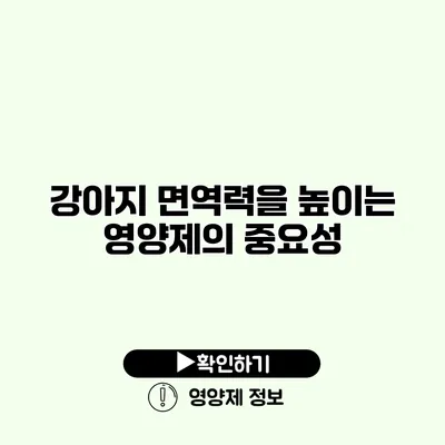 강아지 면역력을 높이는 영양제의 중요성