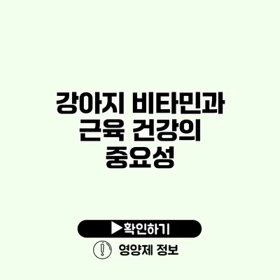 강아지 비타민과 근육 건강의 중요성