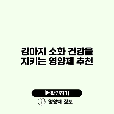 강아지 소화 건강을 지키는 영양제 추천