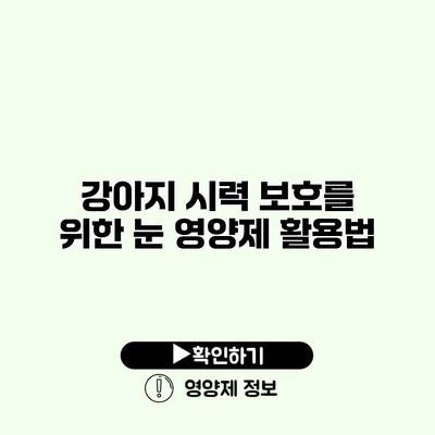 강아지 시력 보호를 위한 눈 영양제 활용법