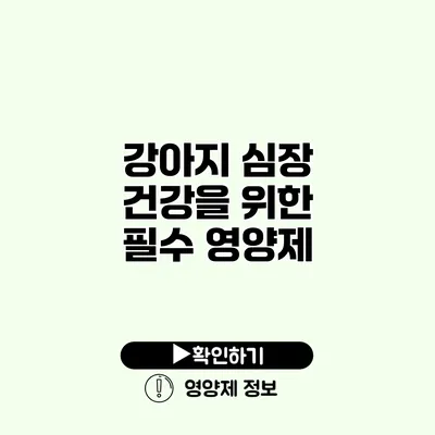 강아지 심장 건강을 위한 필수 영양제