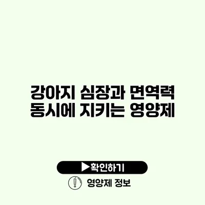 강아지 심장과 면역력 동시에 지키는 영양제