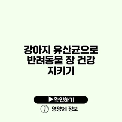 강아지 유산균으로 반려동물 장 건강 지키기