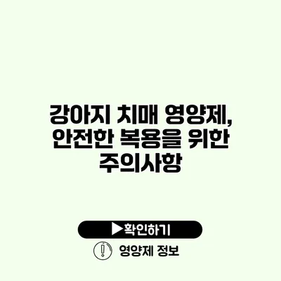 강아지 치매 영양제, 안전한 복용을 위한 주의사항