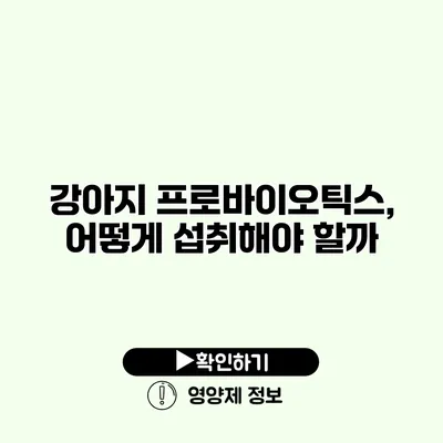 강아지 프로바이오틱스, 어떻게 섭취해야 할까?