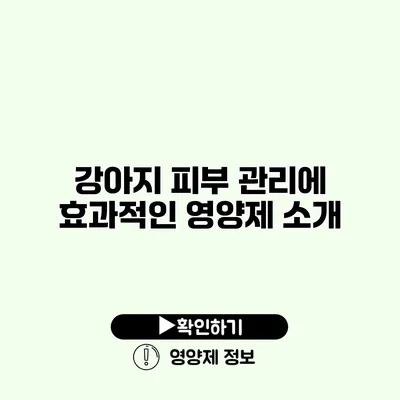 강아지 피부 관리에 효과적인 영양제 소개