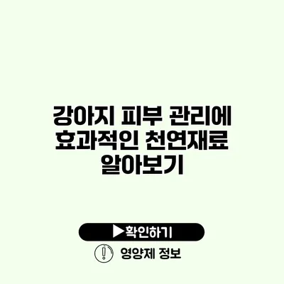 강아지 피부 관리에 효과적인 천연재료 알아보기