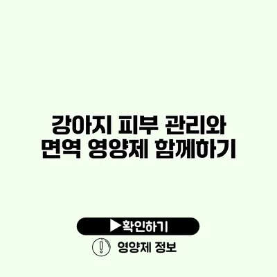 강아지 피부 관리와 면역 영양제 함께하기