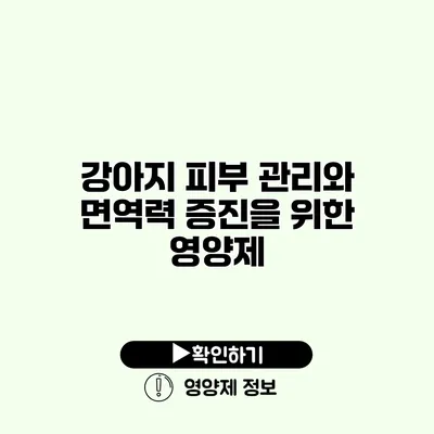 강아지 피부 관리와 면역력 증진을 위한 영양제