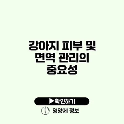 강아지 피부 및 면역 관리의 중요성