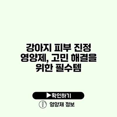 강아지 피부 진정 영양제, 고민 해결을 위한 필수템