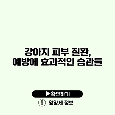 강아지 피부 질환, 예방에 효과적인 습관들