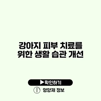 강아지 피부 치료를 위한 생활 습관 개선