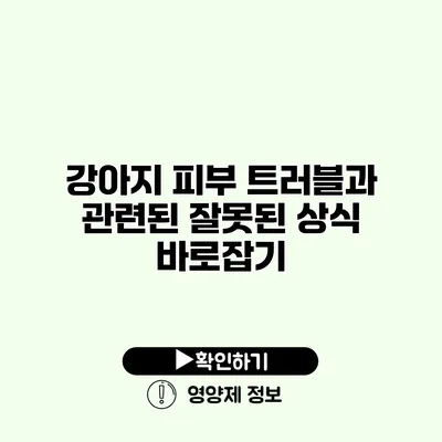 강아지 피부 트러블과 관련된 잘못된 상식 바로잡기