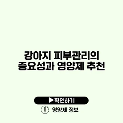 강아지 피부관리의 중요성과 영양제 추천