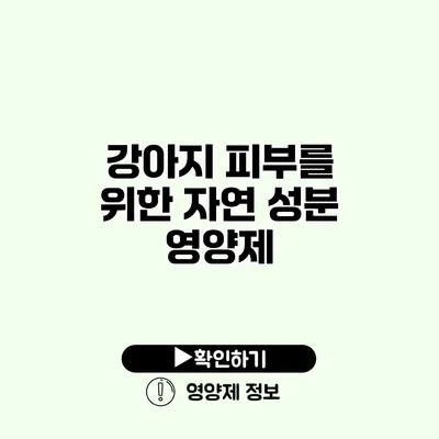 강아지 피부를 위한 자연 성분 영양제