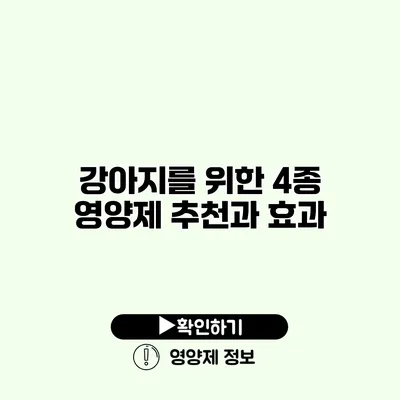 강아지를 위한 4종 영양제 추천과 효과