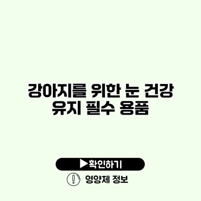 강아지를 위한 눈 건강 유지 필수 용품