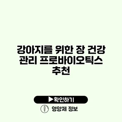 강아지를 위한 장 건강 관리 프로바이오틱스 추천