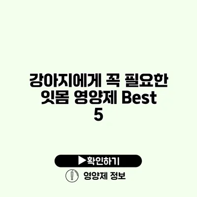 강아지에게 꼭 필요한 잇몸 영양제 Best 5