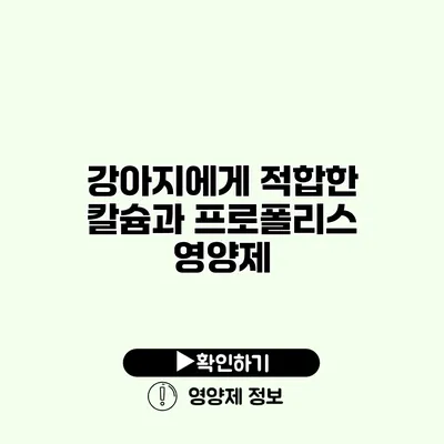 강아지에게 적합한 칼슘과 프로폴리스 영양제