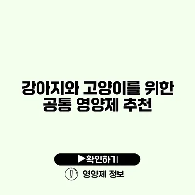 강아지와 고양이를 위한 공통 영양제 추천