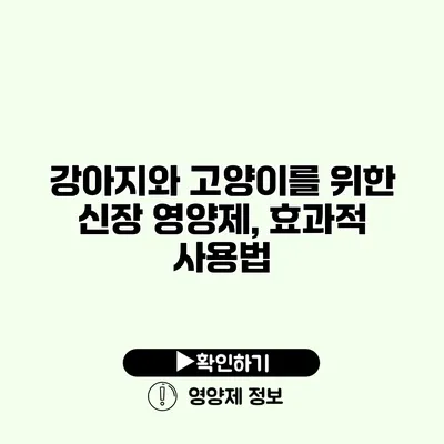 강아지와 고양이를 위한 신장 영양제, 효과적 사용법