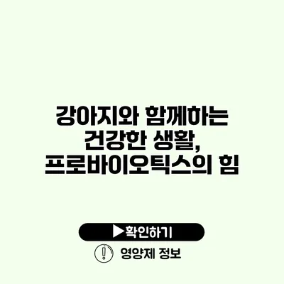 강아지와 함께하는 건강한 생활, 프로바이오틱스의 힘