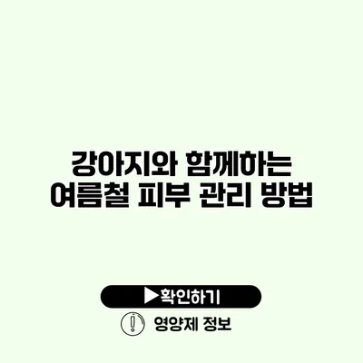 강아지와 함께하는 여름철 피부 관리 방법