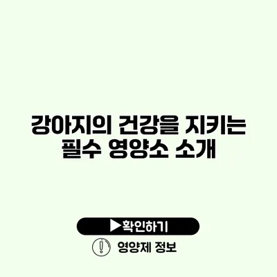 강아지의 건강을 지키는 필수 영양소 소개