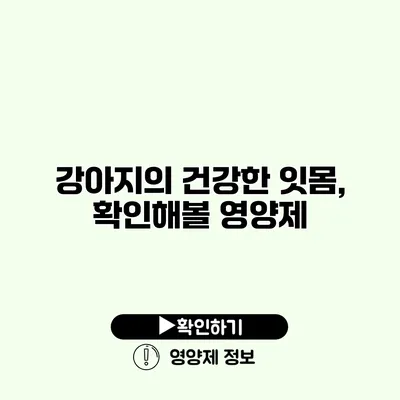 강아지의 건강한 잇몸, 확인해볼 영양제