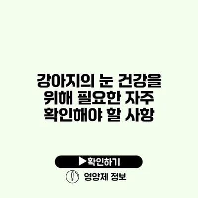 강아지의 눈 건강을 위해 필요한 자주 확인해야 할 사항