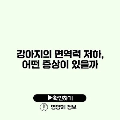 강아지의 면역력 저하, 어떤 증상이 있을까?